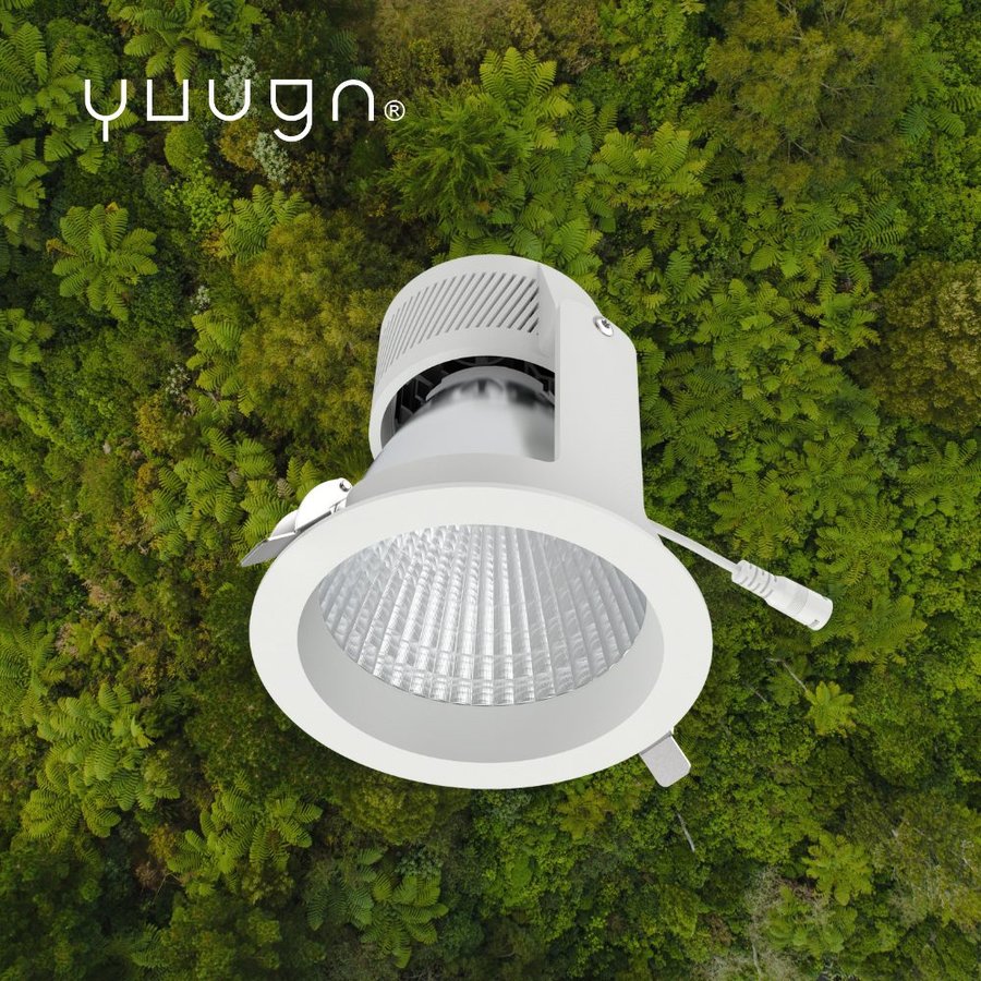 Yuugn Aurora