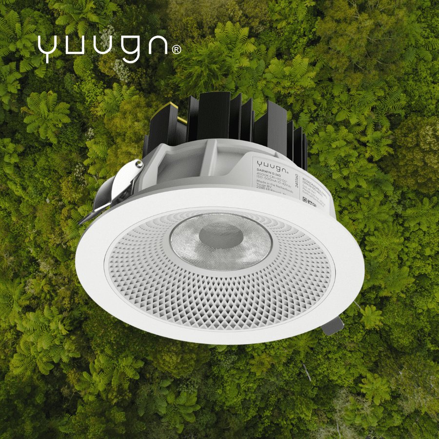 Yuugn Darwin XL
